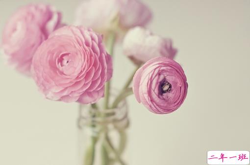 突然很想哭的心情说说大全 快手写进心坎的伤感句子2