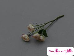 独一无二的朋友圈说说 很少见特别的句子