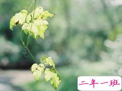 抖音最火扎心语录 2019痛到心碎的句子