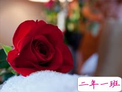 2019三月再见四月你好伤感说说 以后不会挽留不再将就