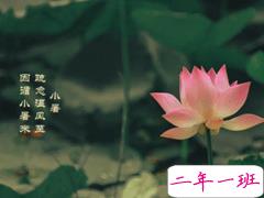 2020小暑节气文案 适合小暑发朋友圈的说说