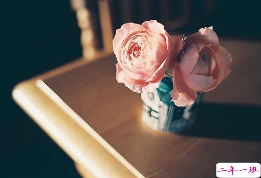 心好累好迷茫的说说2019最新 一次又一次失望的说说1