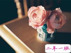 心好累好迷茫的说说2019最新 一次又一次失望的说说