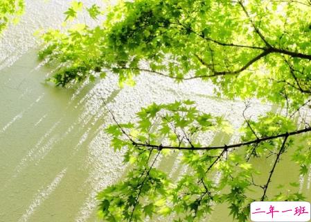 2020全新下半年说说 过完上半年开启下半年的说说1