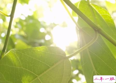 2020全新下半年说说 过完上半年开启下半年的说说2