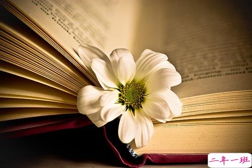 非常伤感和心酸的爱情说说 让人心碎的说说句句入骨1