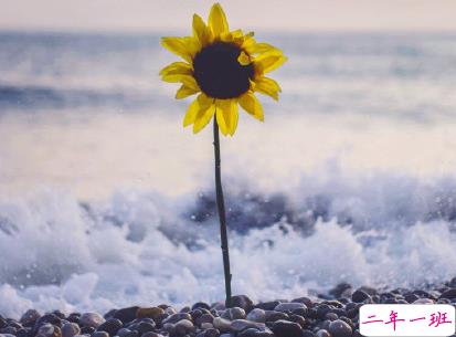 2020七月全新早安心语 7月你好早安说说1