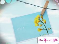 心情不好的说说失望透顶 最冷不过心寒说说