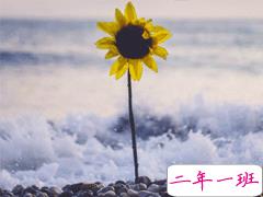 2020七月全新早安心语 7月你好早安说说