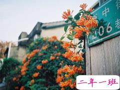 内心痛苦煎熬的说说大全 被爱情折磨的伤感说说