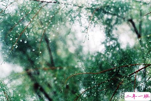 心里留下伤疤的说说大全 有道坎一直过不去的伤感说说1