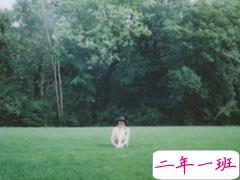 心里留下伤疤的说说大全 有道坎一直过不去的伤感说说