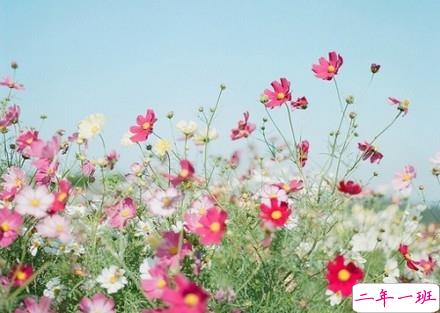 2019新年说说伤感一个人过 新年感到孤独的伤感说说句子1