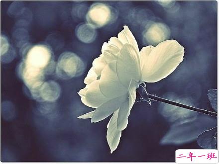 2019新年说说伤感一个人过 新年感到孤独的伤感说说句子2