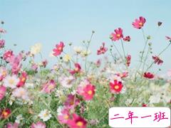 2019新年说说伤感一个人过 新年感到孤独的伤感说说句子