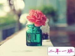 从爱到恨的绝望伤感说说 彻底死心放弃的一些难过句子