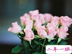 2019戳破人心的伤感说说合集 超扎心的一句话说说