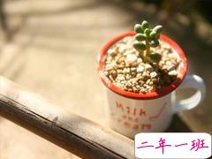 2019最流行的唯美伤感说说 有一个人总能让你牵肠挂肚