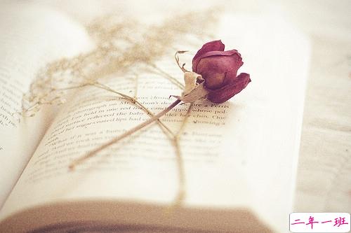 内心煎熬的伤感说说带图片 始终无法忘记他的虐心说说6