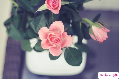 内心煎熬的伤感说说带图片 始终无法忘记他的虐心说说13