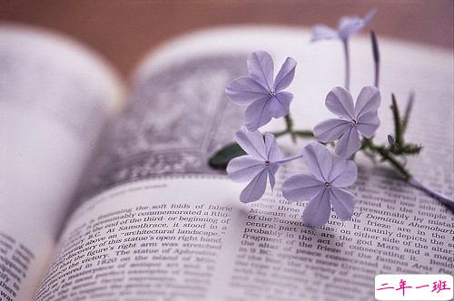 内心煎熬的伤感说说带图片 始终无法忘记他的虐心说说14