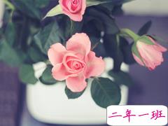 内心煎熬的伤感说说带图片 始终无法忘记他的虐心说说