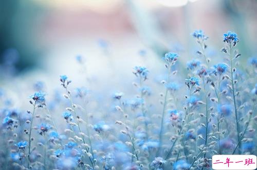 异地恋分手后伤感说说大全 内心难受心情崩溃的伤感说说1