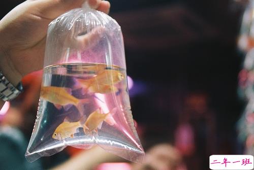 一个人被爱情伤透了的说说 被感情伤害的说说心情短语1