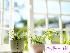 一个人被爱情伤透了的说说 被感情伤害的说说心情短语