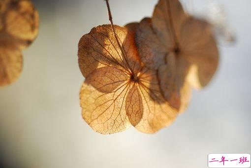 输得一塌糊涂的爱情伤感说说 句句写入心坎的伤感说说大全1