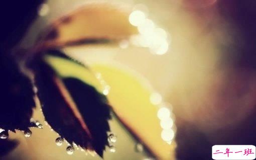 输得一塌糊涂的爱情伤感说说 句句写入心坎的伤感说说大全2