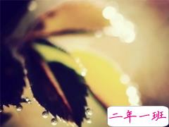 输得一塌糊涂的爱情伤感说说 句句写入心坎的伤感说说大全