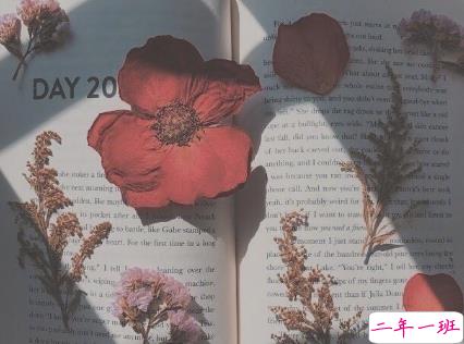 心很累的伤感说说很难受 很现实很深奥的说说一个人失落2