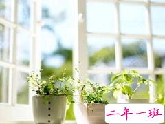 带着淡淡忧伤的伤感说说2018 适合女生的稍微有些难过的伤感说说