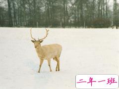 关于分离分别的伤感说说 每个人都是孤独的伤感说说2018