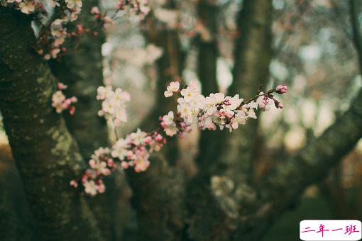 日升日落让人感到伤感的说说 时间和爱情带给我们的忧伤伤感说说2