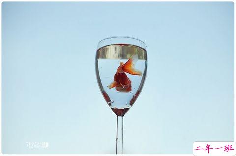 一句话让你泪流满面的伤感说说 心情很不好爱情很现实的说说2