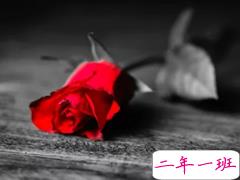 2018七夕说说心情短语致自己 七夕情人节一个人过的伤感说说