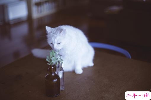 女生大爱的伤感文艺说说 适合00后女生发的伤感说说2