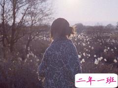 心痛到选择放弃一个人的伤感说说