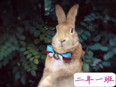 最新感情中的难过忧伤伤感说说 是不是我想要的太多了