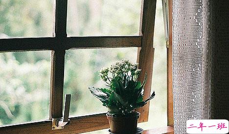 特别伤感难过的读起来让你泪流满面的说说2