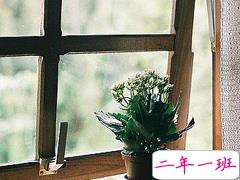 特别伤感难过的读起来让你泪流满面的说说