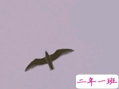 值得收藏的那些美到心碎的句子