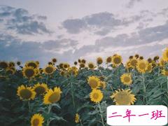 适合感觉有点丧的时候发的说说 青春啊有的时候真像个冷笑话