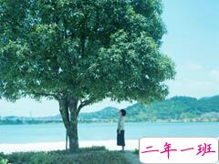 一个人伤感悲伤的爱情说说 你说世间什么最难熬徒手摘星还是爱而不得