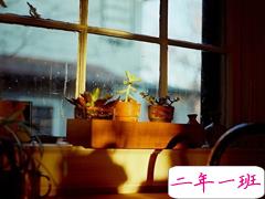 00后伤感心酸的爱情说说 错过了很多甚至错过了你。