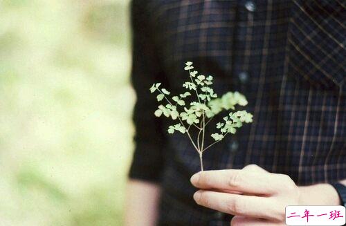 一个人恋爱感到心累的说说 你说你好累已无法再爱上谁1