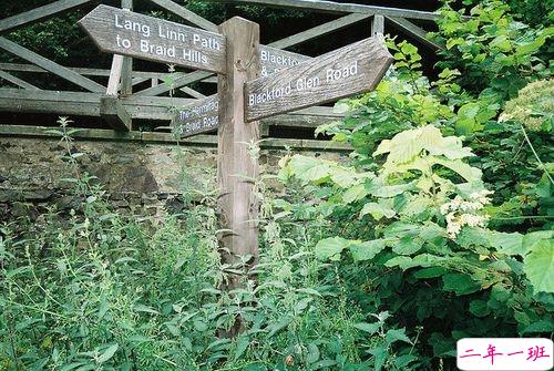 一个人恋爱感到心累的说说 你说你好累已无法再爱上谁2