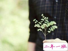 一个人恋爱感到心累的说说 你说你好累已无法再爱上谁